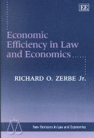 bokomslag Economic Efficiency in Law and Economics