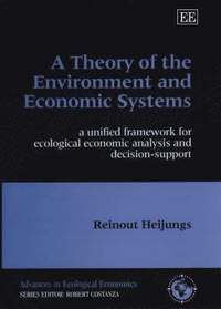 bokomslag A Theory of the Environment and Economic Systems