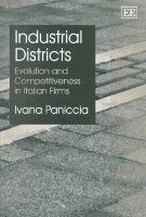 bokomslag Industrial Districts