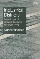 Industrial Districts 1