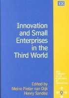 bokomslag Innovation and Small Enterprises in the Third World