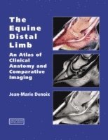 Jean-Marie Denoix, France) Denoix, Jean-Marie (CIRALE-Hippolia, Goustranville, France) Denoix, Jean-marie (cirale-hippolia, Goustranville - Equine Distal Limb, Inbunden