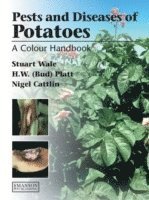 bokomslag Diseases, Pests and Disorders of Potatoes