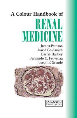 bokomslag Renal Medicine, Second Edition: A Color Handbook