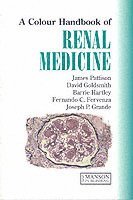 bokomslag Colour handbook of renal medicine