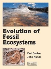 bokomslag Evolution of fossil ecosystems