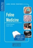 bokomslag Feline Medicine