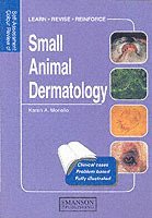 bokomslag Small Animal Dermatology