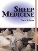 bokomslag Ovine Clinical Medicine