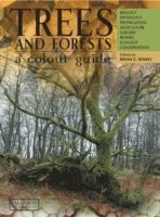bokomslag Trees & Forests, A Colour Guide