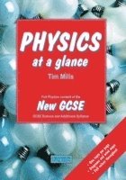 Physics at a Glance 1