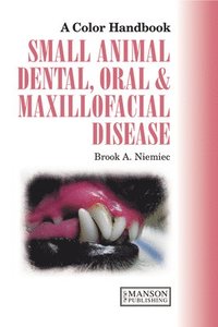 bokomslag Small Animal Dental, Oral and Maxillofacial Disease