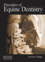 bokomslag Principles of Equine Dentistry