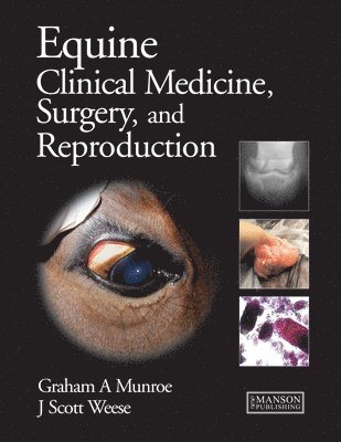 bokomslag Equine Clinical Medicine, Surgery and Reproduction