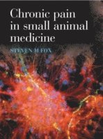 bokomslag Chronic Pain in Small Animal Medicine