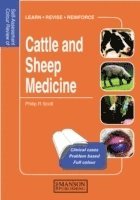 bokomslag Cattle and Sheep Medicine