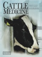 bokomslag Cattle Medicine