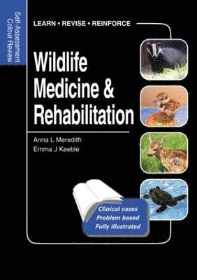 Wildlife Medicine and Rehabilitation 1