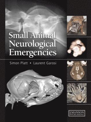 Small Animal Neurological Emergencies