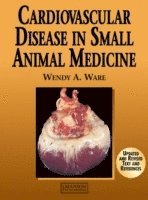 bokomslag Cardiovascular Disease in Small Animal Medicine