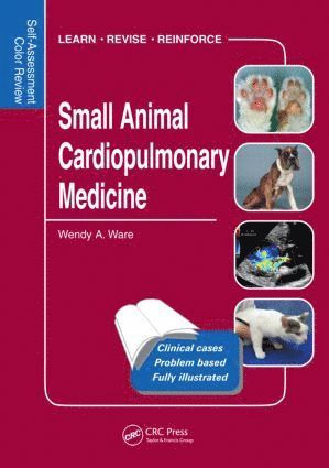 bokomslag Small Animal Cardiopulmonary Medicine