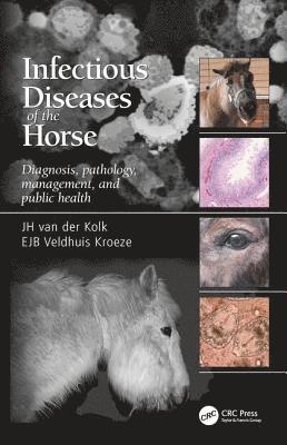 bokomslag Infectious Diseases of the Horse