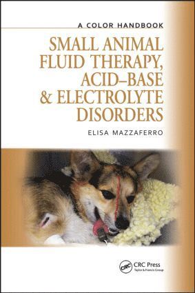 bokomslag Small Animal Fluid Therapy, Acid-base and Electrolyte Disorders