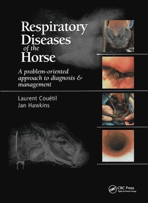 bokomslag Respiratory Diseases of the Horse