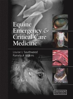 Equine Emergency and Critical Care Medicine 1