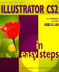 bokomslag Illustrator CS2 In Easy Steps
