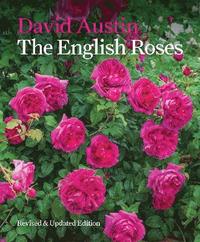 bokomslag The English Roses
