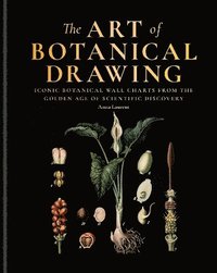 bokomslag The Art of Botanical Drawing