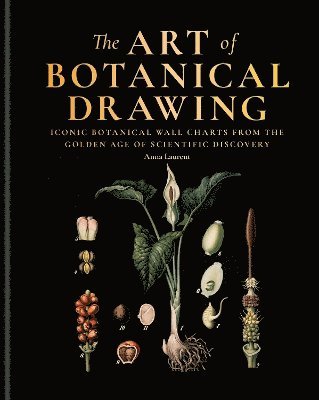 bokomslag The Art of Botanical Drawing