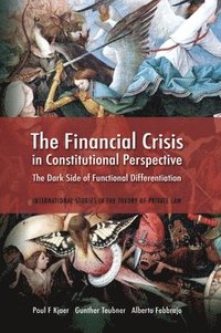 bokomslag The Financial Crisis in Constitutional Perspective