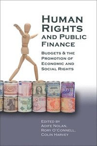 bokomslag Human Rights and Public Finance
