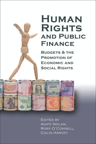 bokomslag Human Rights and Public Finance