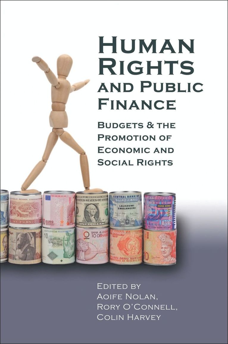 Aoife Nolan, Rory O'Connell, Colin Harvey - Human Rights and Public Finance, Inbunden