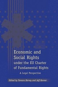 bokomslag Economic and Social Rights under the EU Charter of Fundamental Rights