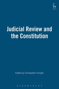 bokomslag Judicial Review and the Constitution