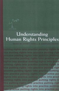 bokomslag Understanding Human Rights Principles