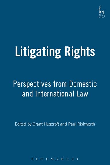 bokomslag Litigating Rights