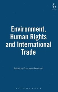 bokomslag Environment, Human Rights and International Trade