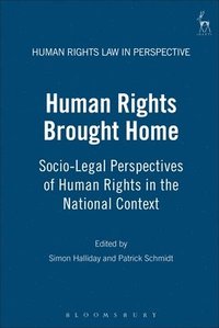 bokomslag Human Rights Brought Home