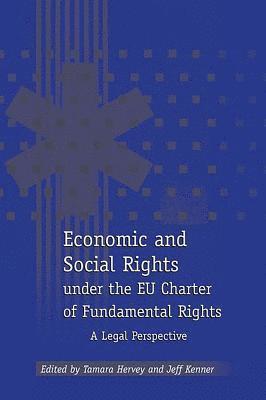 bokomslag Economic and Social Rights under the EU Charter of Fundamental Rights