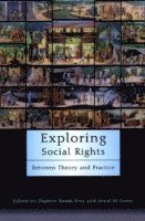 bokomslag Exploring Social Rights