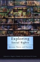 Exploring Social Rights 1