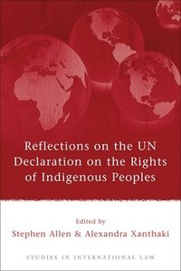 bokomslag Reflections on the UN Declaration on the Rights of Indigenous Peoples