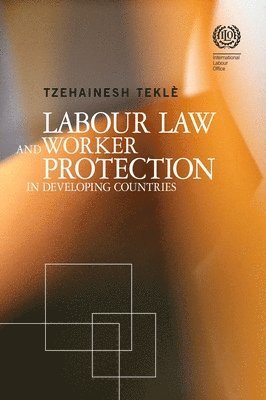 bokomslag Labour Law and Worker Protection in Developing Countries