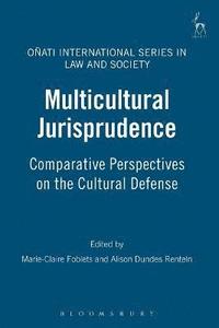 bokomslag Multicultural Jurisprudence