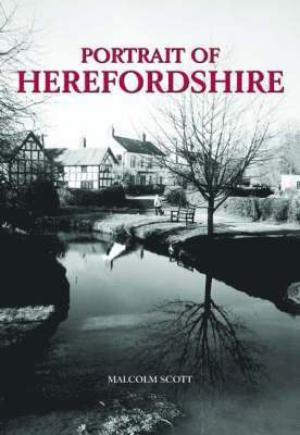 bokomslag Portrait of Herefordshire